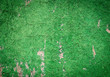 Old cracked painted texture. Rusty green wood.