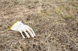 Photo: Rubber glove in the field Rubber glove in the field