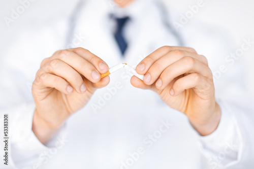 Photo: man breaking the cigarette with hands man breaking the cigarette with hands