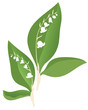 lily of the valley