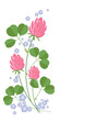 clover background