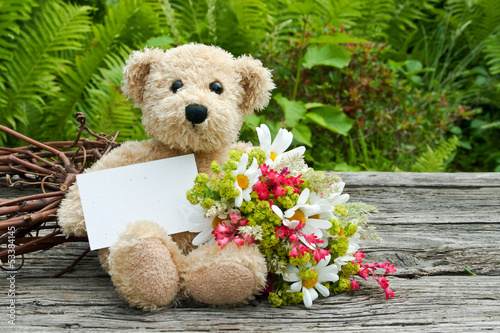 Photo: teddy bear teddy bear