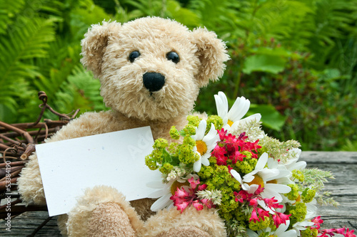 Photo: teddy bear teddy bear