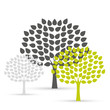 silhouette of trees