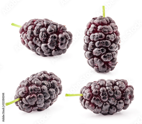 Photo: Collection of mulberry Isolated on white background Collection of mulberry Isolated on white background