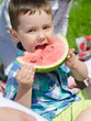 Photo: Portrait of a boy eating watermelon in the park Portrait of a boy eating watermelon in the park