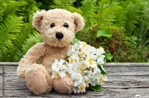 Photo: teddy bear teddy bear