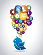 bird social