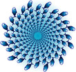 optical illusion with fish