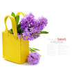 Beautiful Hyacinths