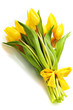 yellow tulips