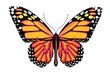 Butterfly with yellow and orange colors