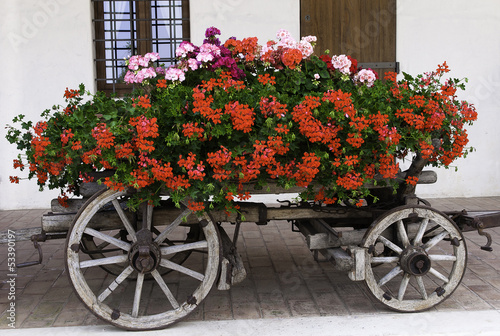 Photo: Flower trolley Flower trolley