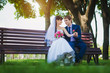 happy bride and groom are sitting on the bench