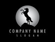 horse moon design black background
