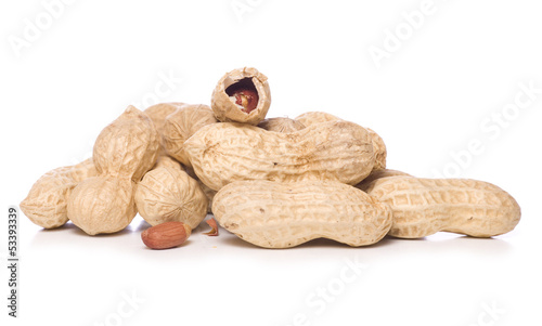 Photo: pile of monkey nuts pile of monkey nuts