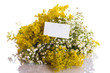 Summer bouquet of wild flowers