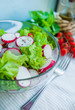 vegetable salsd