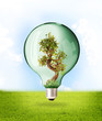Ecologia - Proteggere la Natura