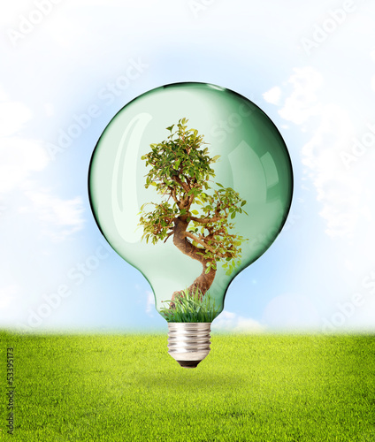 Photo: Ecologia - Proteggere la Natura Ecologia - Proteggere la Natura