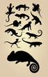 Reptilian Silhouettes
