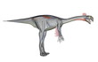 Gigantoraptor dinosaur