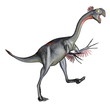 Gigantoraptor dinosaur