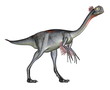 Gigantoraptor dinosaur