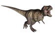 Tyrannosaurus dinosaur