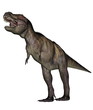 Tyrannosaurus dinosaur