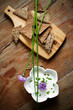 Chives