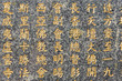 Hieroglyphs background