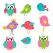 Vector: Vector set cute birds and owls Vector set cute birds and owls
