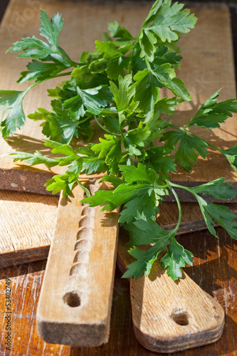 Photo: parsley parsley