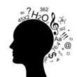 Vector illustration of head with a lot of information