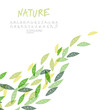 Vector: Green leaves background, vector. Including hand-drawn alphabet a Green leaves background, vector. Including hand-drawn alphabet a