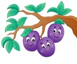 Vektor: Image with plum theme 1 Image with plum theme 1
