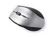Silver computer mouse