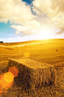 sunflare haystack