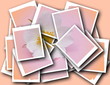 collage,single blossom colorful, modern, abstract set in scene