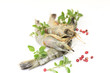 Photo: gambas gambas