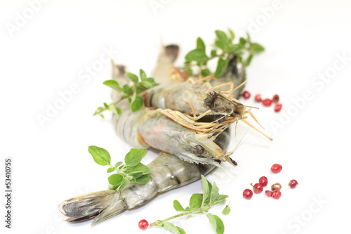 Photo: gambas gambas