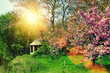 summer garden