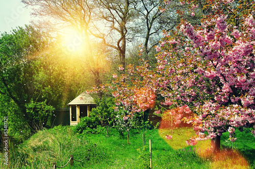 Photo: summer garden summer garden