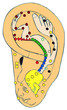 reflexologie, acupuncture