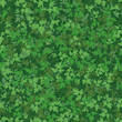 Seamless background, maple leaves