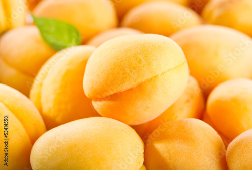 Photo: apricots apricots