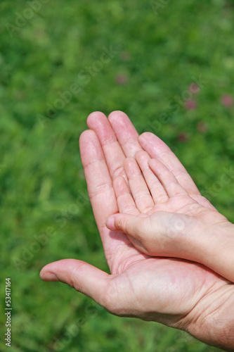 Photo: hand of a little girl in the hand of the father hand of a little girl in the hand of the father