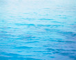 海