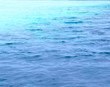 海